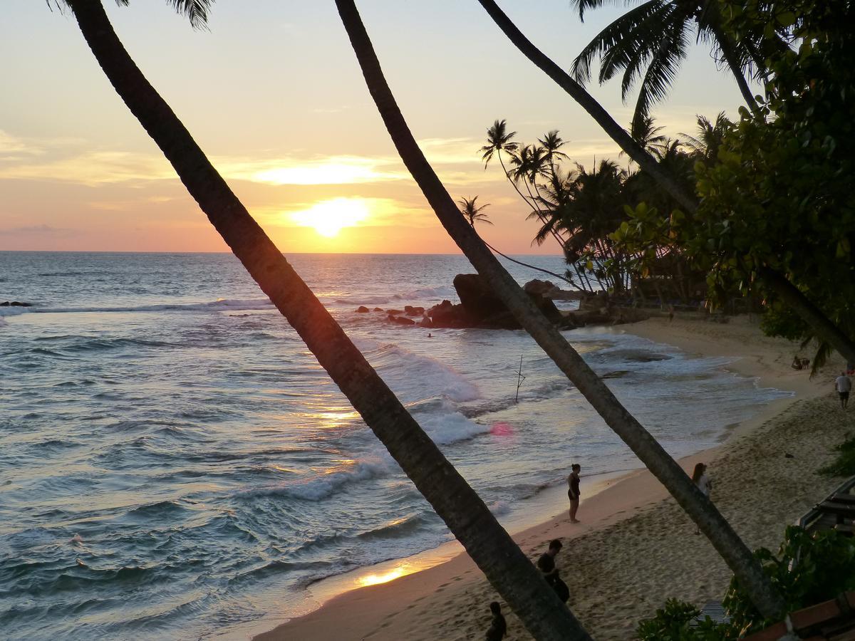 Tropical Dream