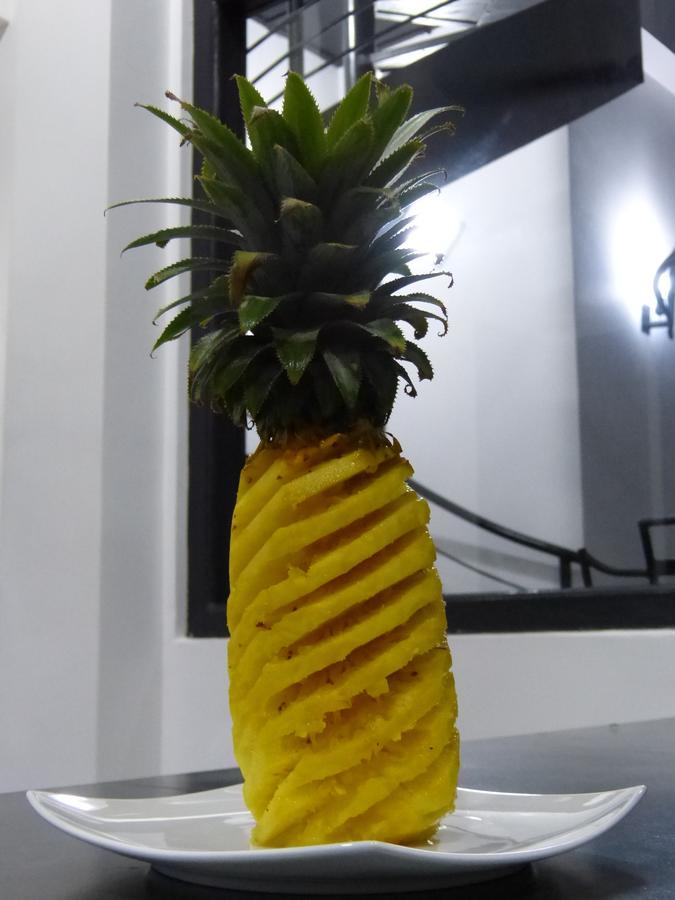 Tropical Dream *