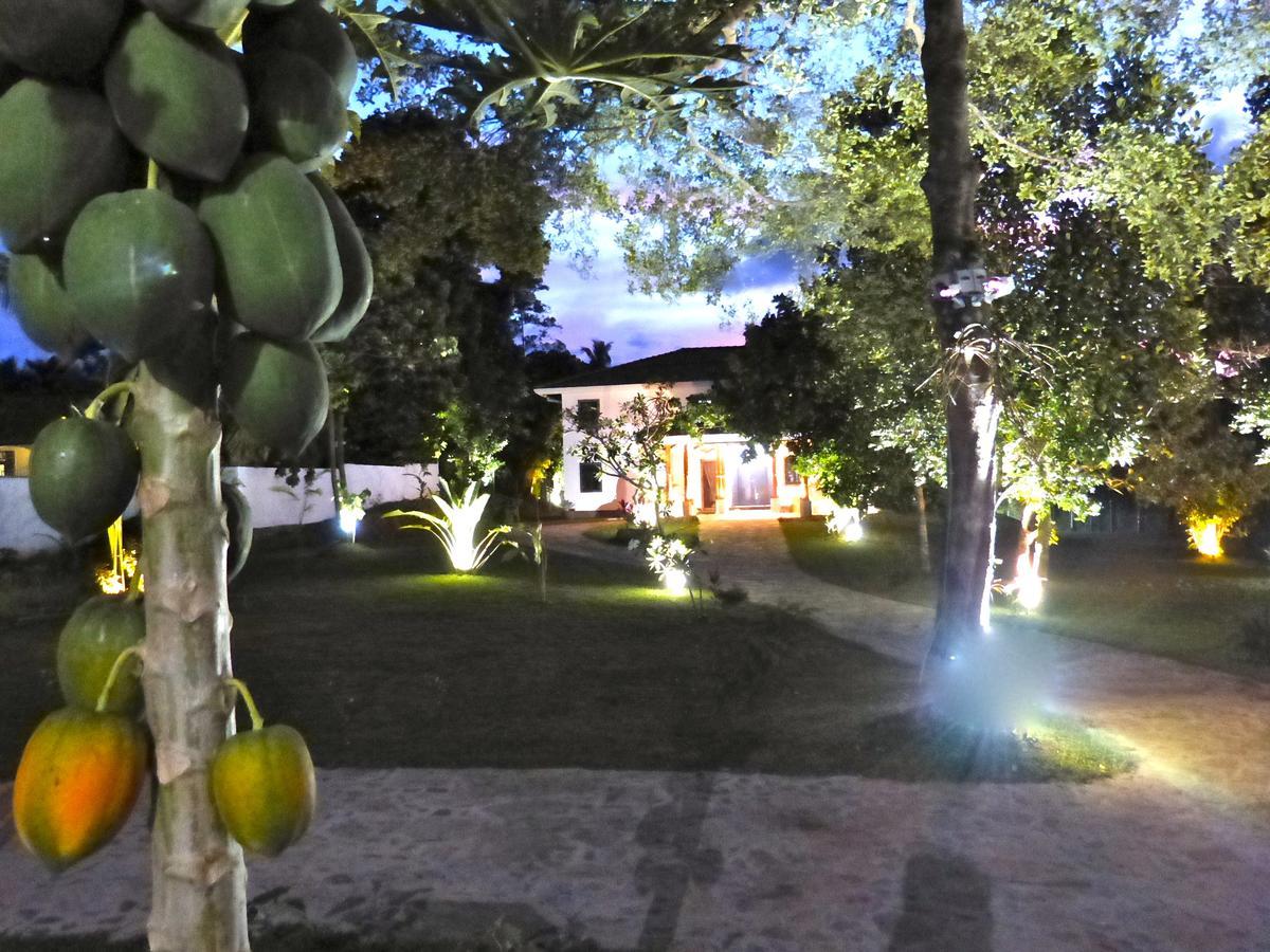 Villa Tropical Dream