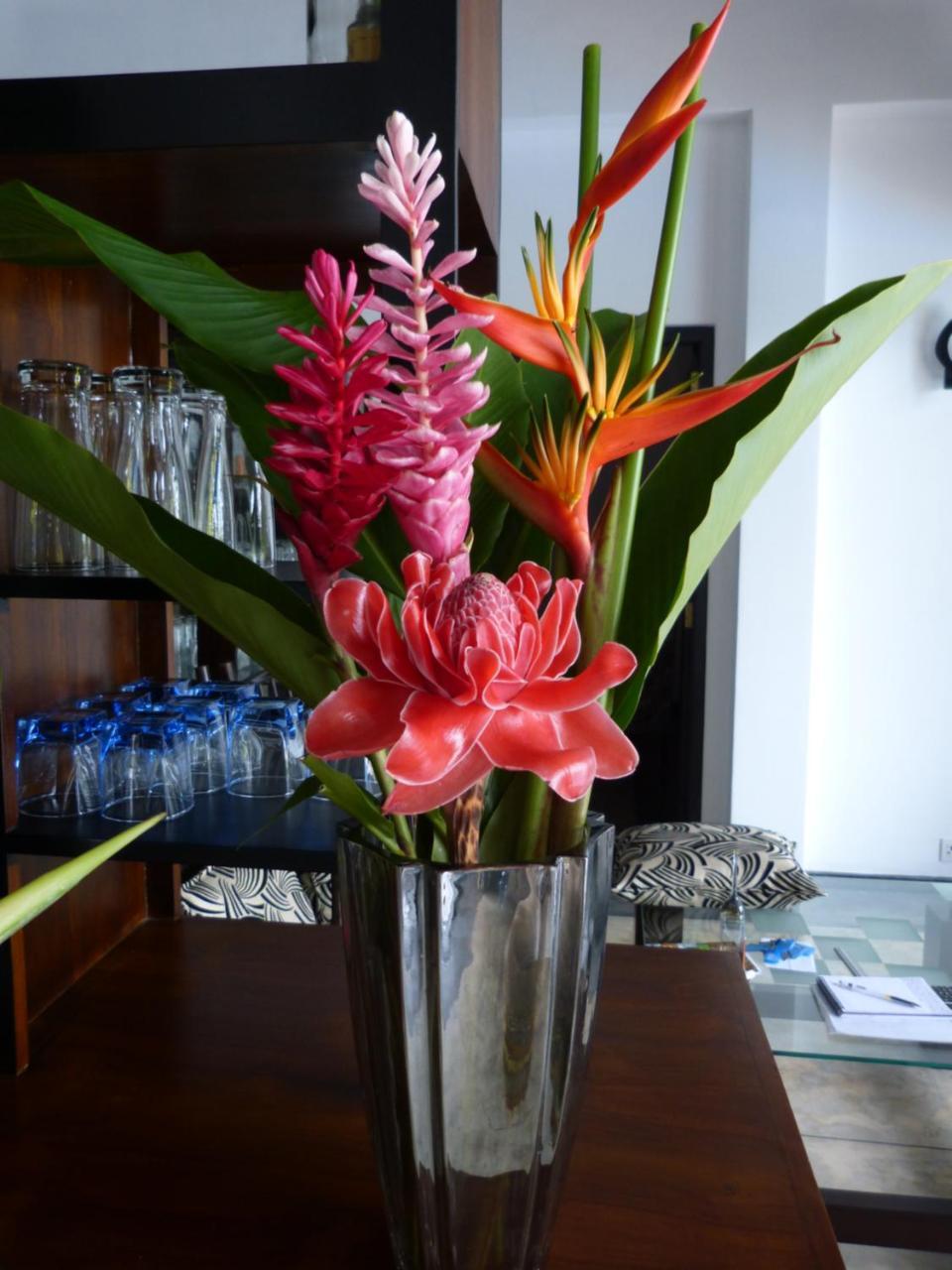 Tropical Dream * Unawatuna